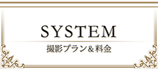 sytem